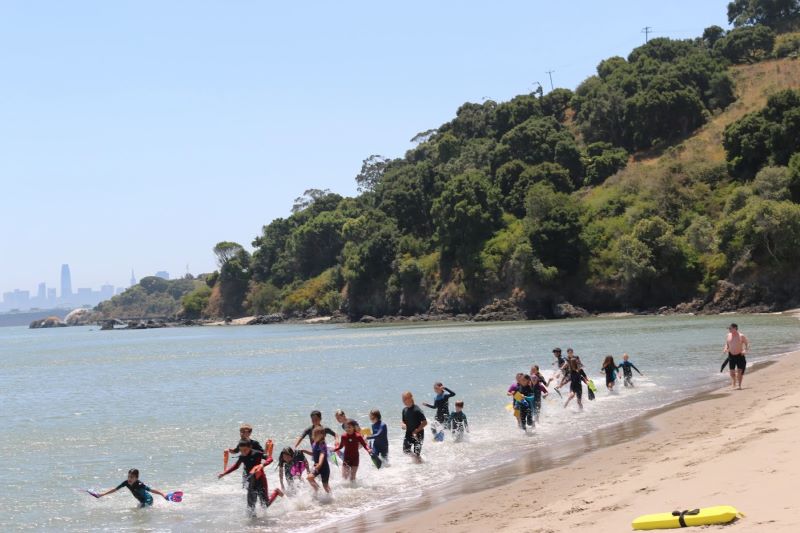 High-stepping Quarry Beach
